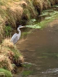 Wieslauter Naturlandschaft